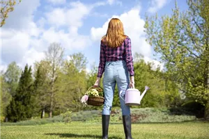 Alles auf Anfang – ein Blumenbeet anlegen