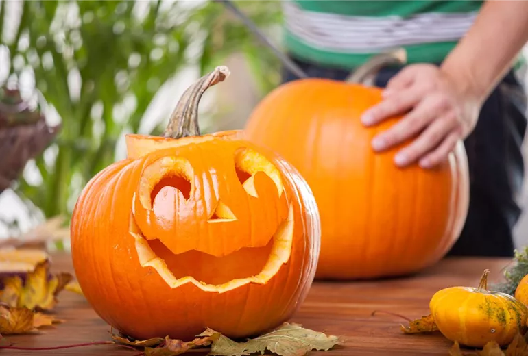 Halloween Kürbis vorbereiten