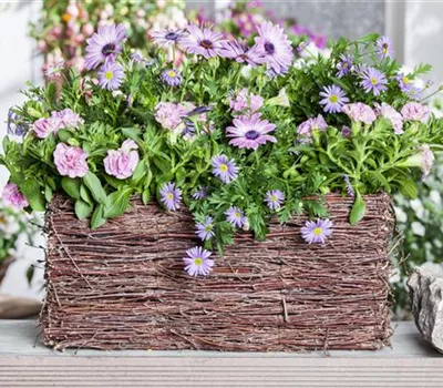 Frühling, Sommer, Herbst, Winter: der Balkon ist immer ein schöner Anblick