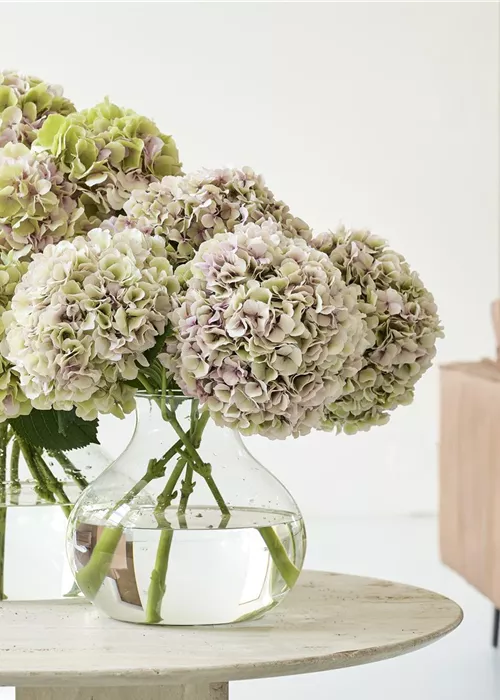 Wohnaccessoires & Deko Wohnaccessoires & Deko