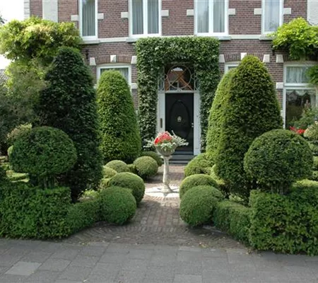 Top in Form – Büsche regelmäßig schneiden