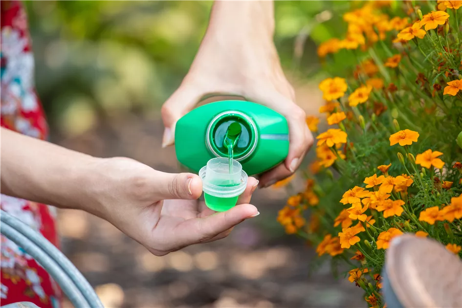 Grüner Jan Flüssigdünger 3 Liter – Universaldünger Für Zimmer-, Balkon- Und Gartenpflanzen