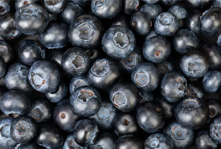 GS650309.jpg GS650309.jpg