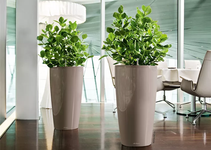 Gartencenter von Blumen Wilking in Bielefeld