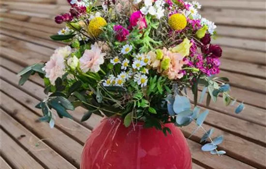 Wiesenglück Wiesenglück