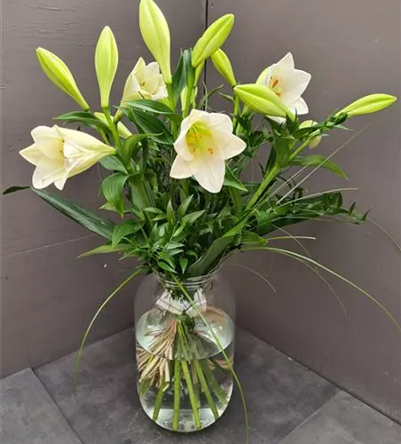 Schlichte Eleganz