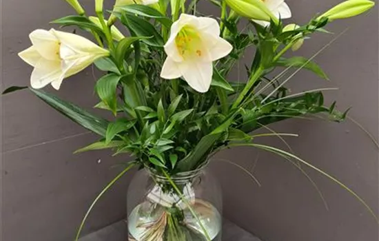 Schlichte Eleganz Schlichte Eleganz