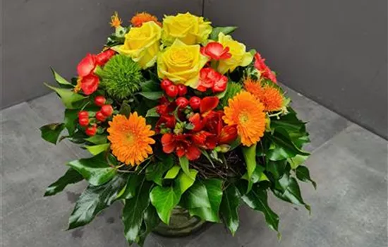 Lichtblick Lichtblick