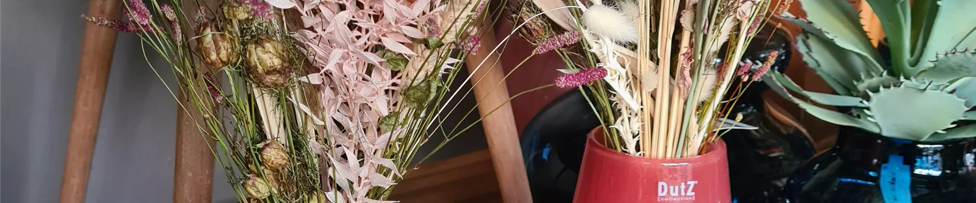 20210824_195911 20210824_195911