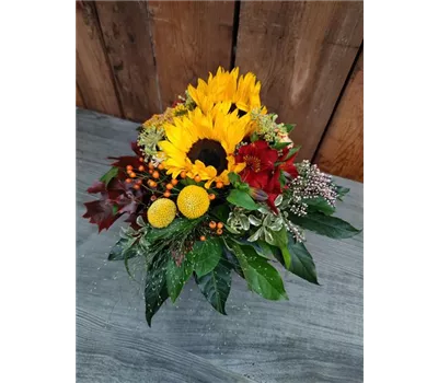 Herbstleuchten