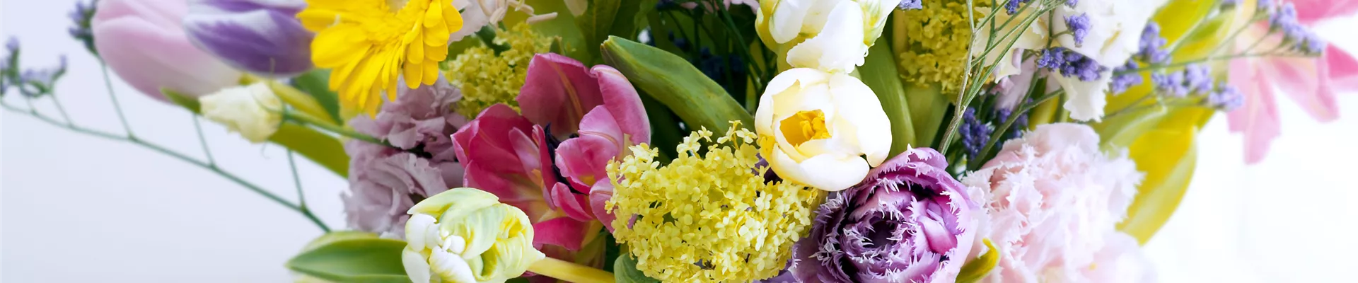 tulp_2015_2_3 tulp_2015_2_3