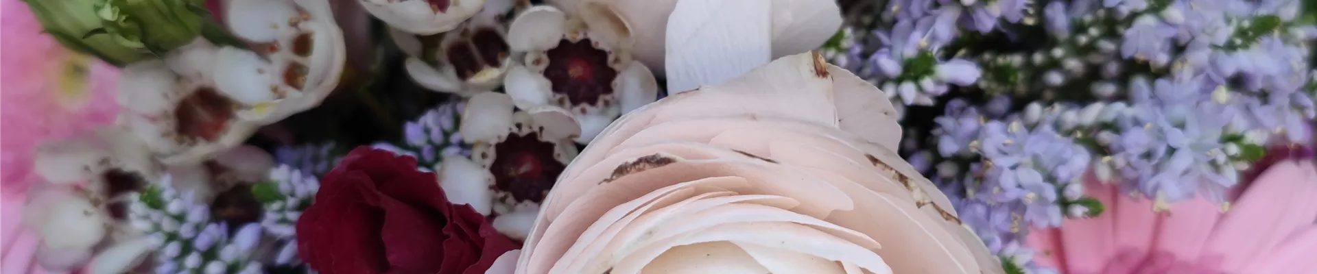 Frühlingsbote_4 Frühlingsbote_4