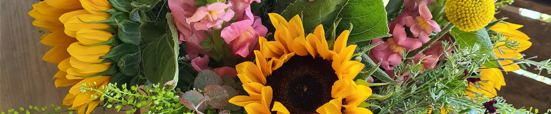 Bunter Sommer_2 Bunter Sommer_2