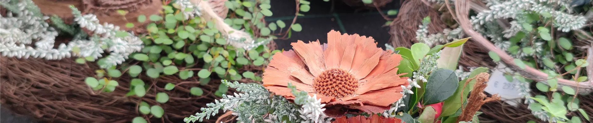 IMG_20221031_084529 IMG_20221031_084529