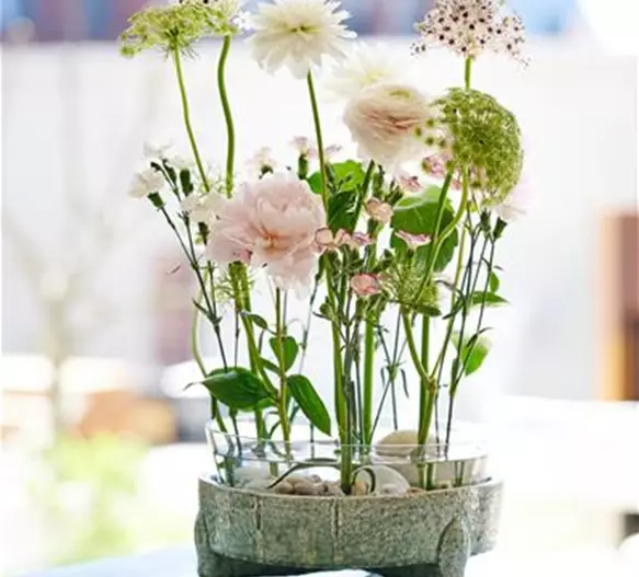 blumenbuero-verwenden_bis-2027-11-23 (1).jpg