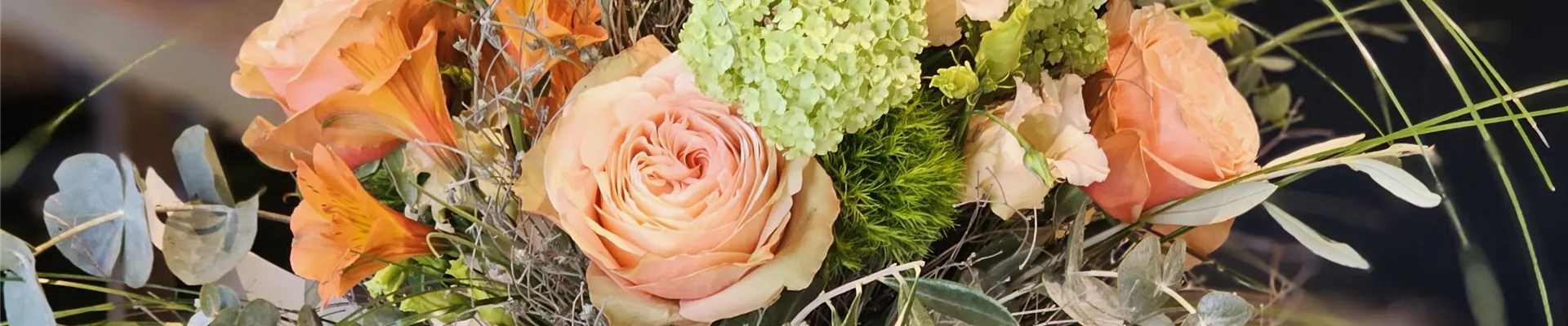 20230419_093539 20230419_093539