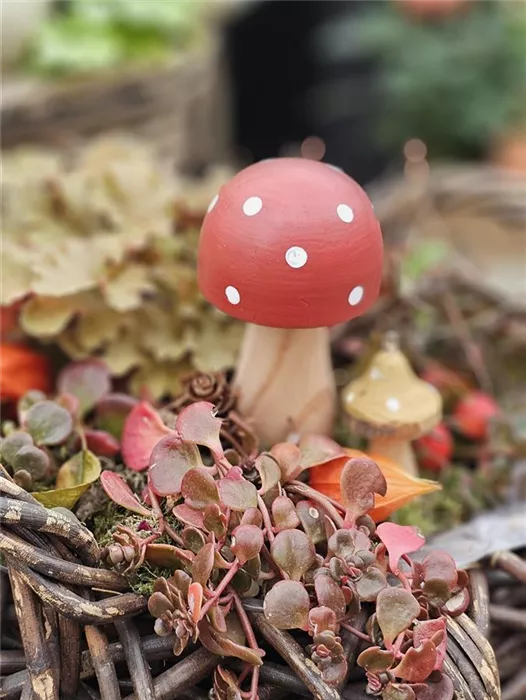 20251007_100701.jpg 20251007_100701.jpg