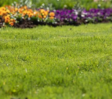 Frühjahrskur für den Rasen – endlich wieder durchatmen
