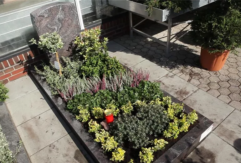 Grabbepflanzung - Dauerhaft (thumbnail)