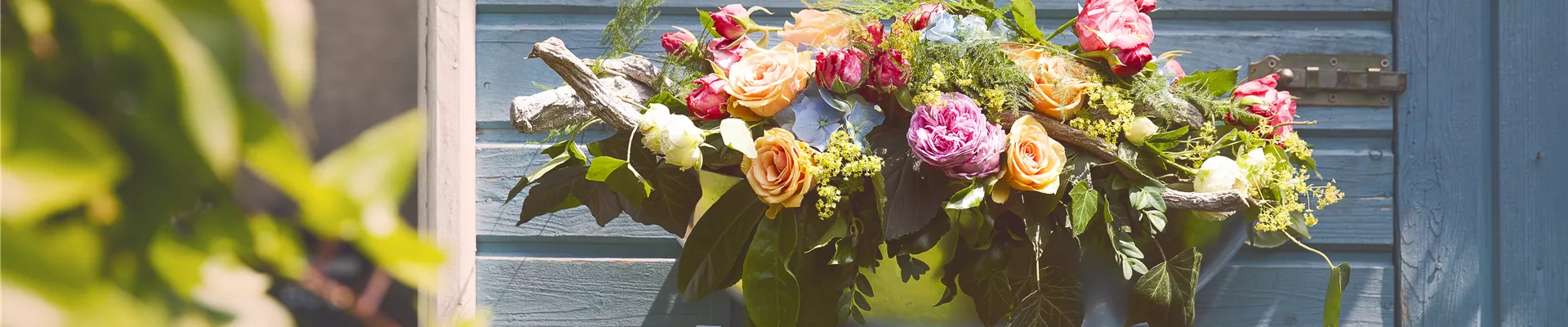 Rosa, rosa Rosa, rosa